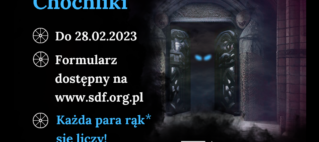 Nabór na Chochliki Nabór na Chochliki